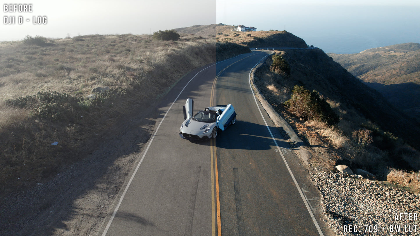 BW - Drone Luts