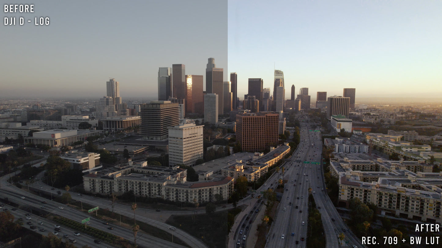 BW - Drone Luts