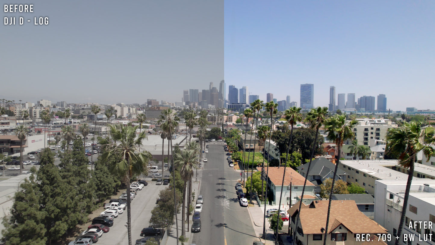 BW - Drone Luts