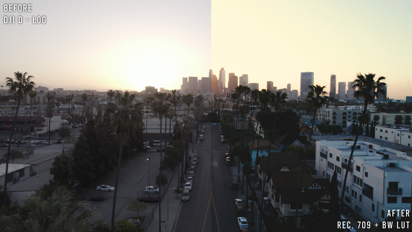 BW - Drone Luts